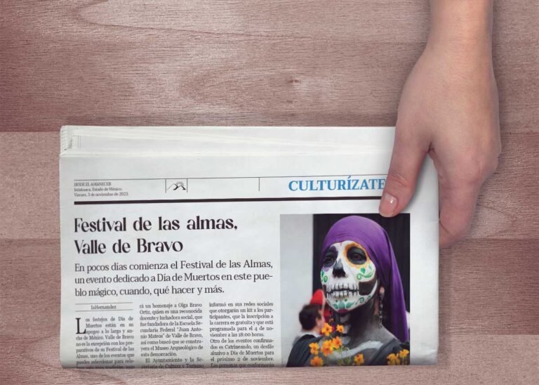 periodico seccion web